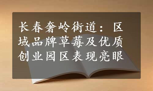 长春奢岭街道：区域品牌草莓及优质创业园区表现亮眼