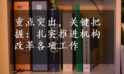 重点突出，关键把握：扎实推进机构改革各项工作