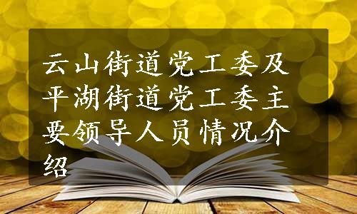 云山街道党工委及平湖街道党工委主要领导人员情况介绍