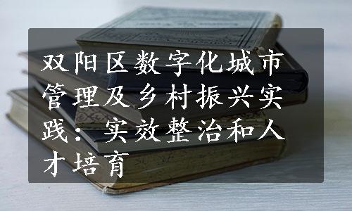 双阳区数字化城市管理及乡村振兴实践：实效整治和人才培育