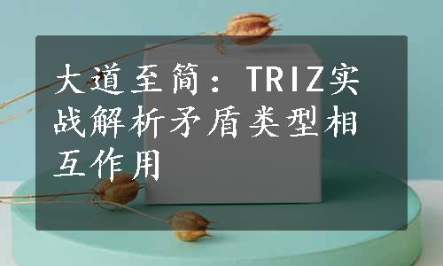 大道至简：TRIZ实战解析矛盾类型相互作用