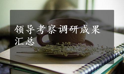 领导考察调研成果汇总