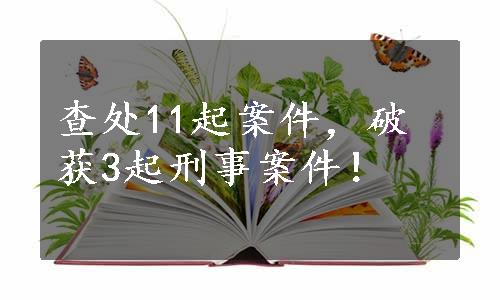 查处11起案件，破获3起刑事案件！