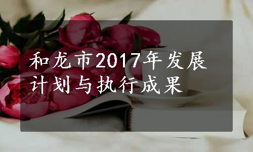 和龙市2017年发展计划与执行成果