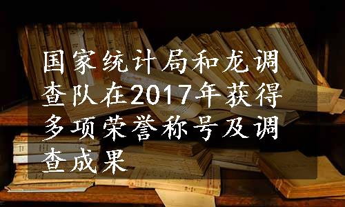 国家统计局和龙调查队在2017年获得多项荣誉称号及调查成果