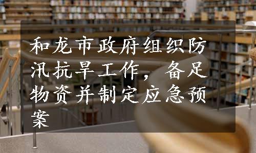 和龙市政府组织防汛抗旱工作，备足物资并制定应急预案