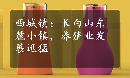 西城镇：长白山东麓小镇，养殖业发展迅猛