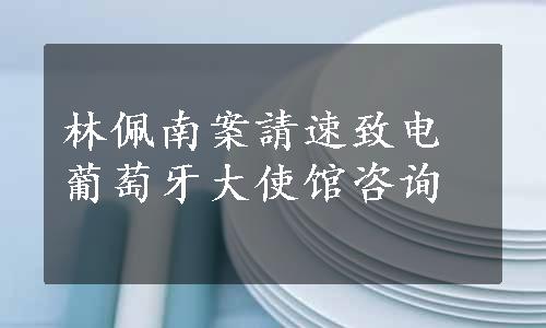 林佩南案請速致电葡萄牙大使馆咨询