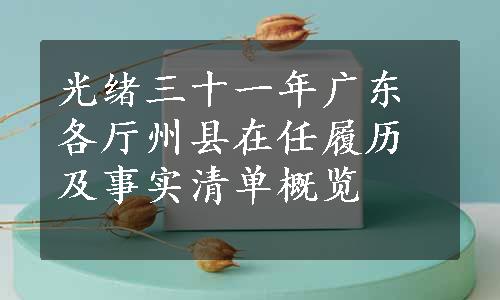 光绪三十一年广东各厅州县在任履历及事实清单概览