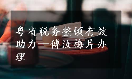 粤省税务整顿有效助力─傅汝梅片办理