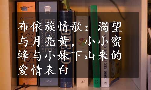 布依族情歌：渴望与月亮黄，小小蜜蜂与小妹下山来的爱情表白