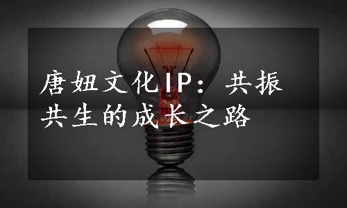 唐妞文化IP：共振共生的成长之路