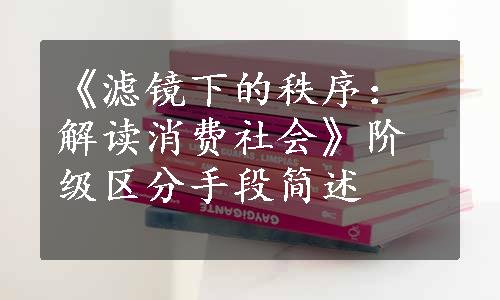 《滤镜下的秩序：解读消费社会》阶级区分手段简述