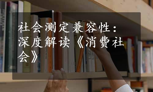 社会测定兼容性：深度解读《消费社会》