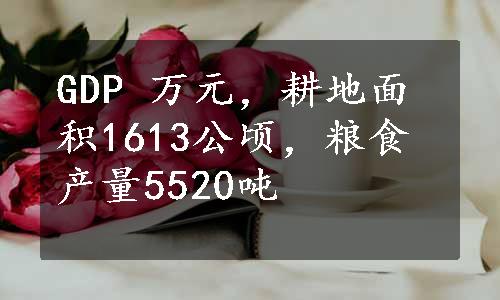 GDP 万元，耕地面积1613公顷，粮食产量5520吨