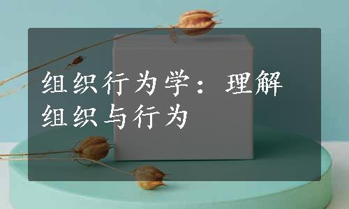 组织行为学：理解组织与行为