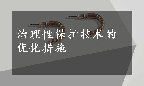 治理性保护技术的优化措施