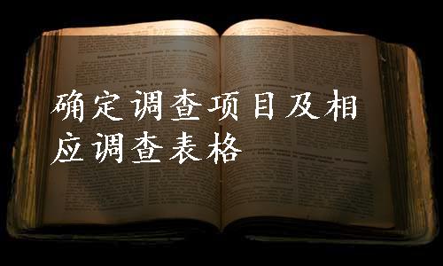 确定调查项目及相应调查表格