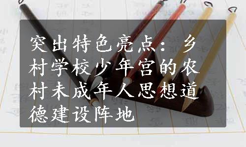 突出特色亮点：乡村学校少年宫的农村未成年人思想道德建设阵地