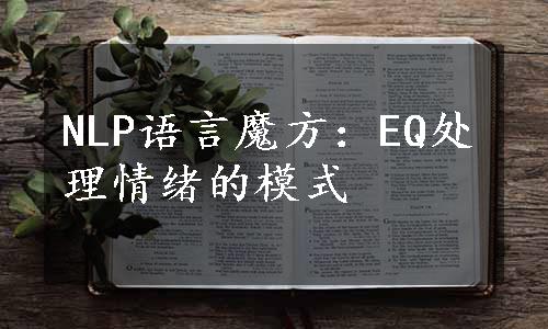 NLP语言魔方：EQ处理情绪的模式