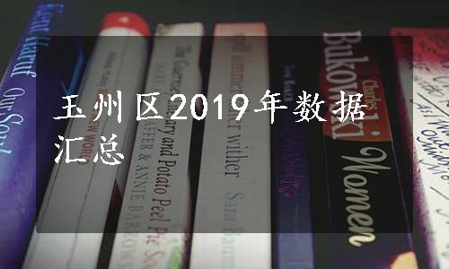 玉州区2019年数据汇总