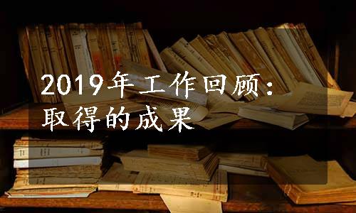 2019年工作回顾：取得的成果