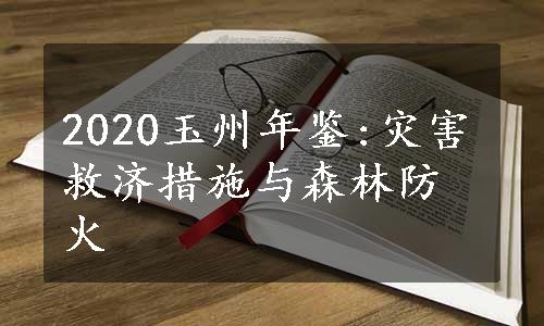 2020玉州年鉴:灾害救济措施与森林防火