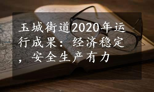 玉城街道2020年运行成果：经济稳定，安全生产有力