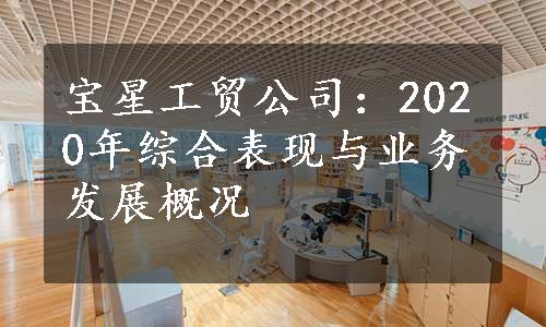 宝星工贸公司：2020年综合表现与业务发展概况