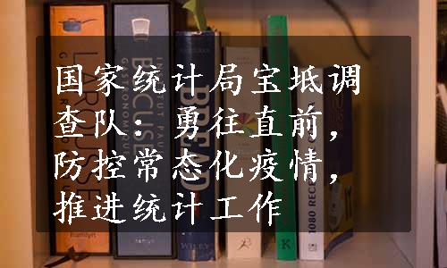 国家统计局宝坻调查队：勇往直前，防控常态化疫情，推进统计工作