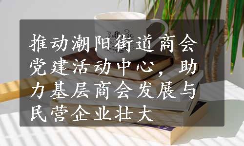 推动潮阳街道商会党建活动中心，助力基层商会发展与民营企业壮大