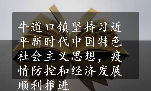 牛道口镇坚持习近平新时代中国特色社会主义思想，疫情防控和经济发展顺利推进