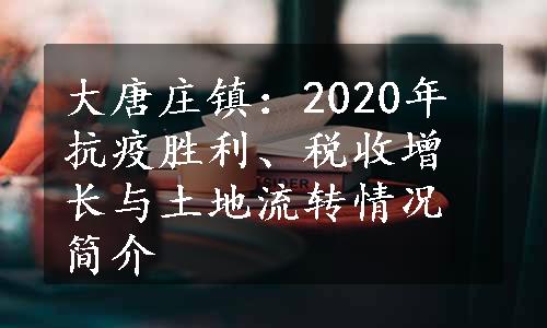 大唐庄镇：2020年抗疫胜利、税收增长与土地流转情况简介