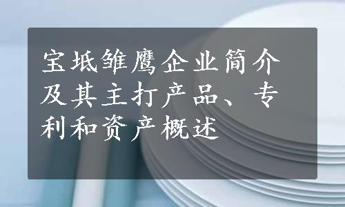 宝坻雏鹰企业简介及其主打产品、专利和资产概述