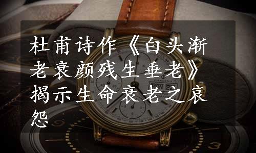 杜甫诗作《白头渐老衰颜残生垂老》揭示生命衰老之哀怨