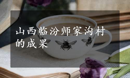 山西临汾师家沟村的成果