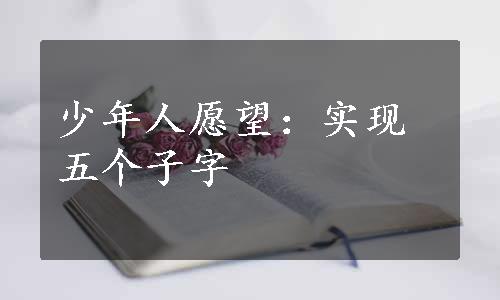 少年人愿望：实现五个子字
