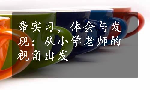 带实习，体会与发现：从小学老师的视角出发