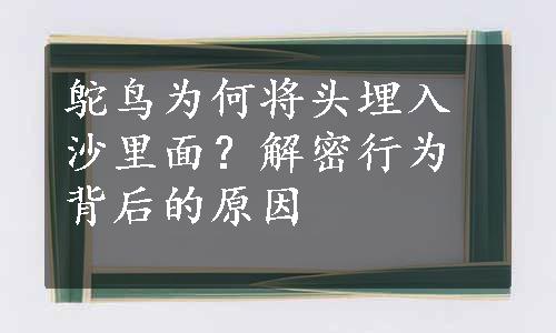 鸵鸟为何将头埋入沙里面？解密行为背后的原因