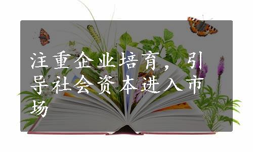 注重企业培育，引导社会资本进入市场