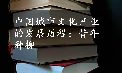 中国城市文化产业的发展历程：昔年种柳