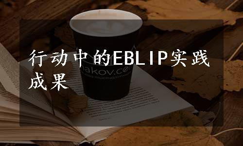 行动中的EBLIP实践成果