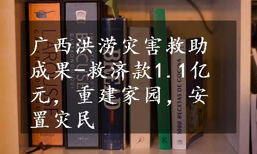 广西洪涝灾害救助成果-救济款1.1亿元，重建家园，安置灾民