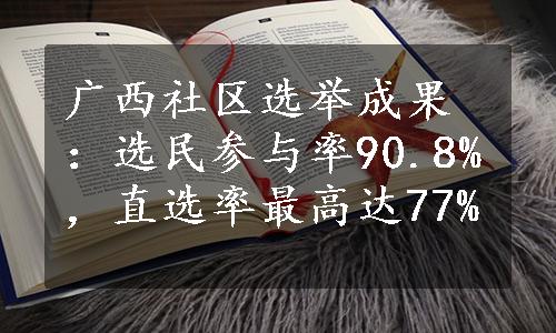 广西社区选举成果：选民参与率90.8%，直选率最高达77%