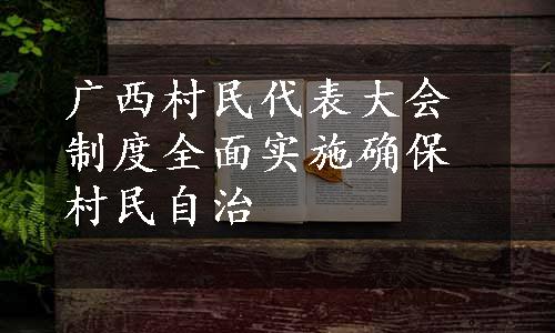 广西村民代表大会制度全面实施确保村民自治
