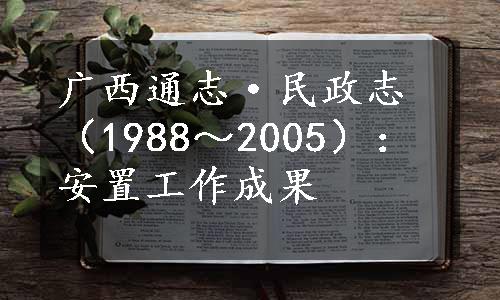 广西通志·民政志（1988～2005）：安置工作成果