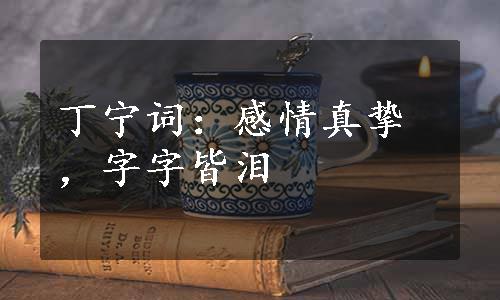 丁宁词：感情真挚，字字皆泪