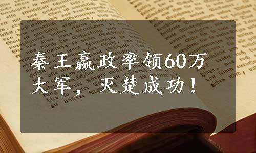 秦王嬴政率领60万大军，灭楚成功！