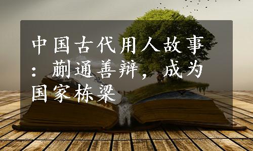 中国古代用人故事：蒯通善辩，成为国家栋梁