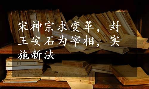 宋神宗求变革，封王安石为宰相，实施新法